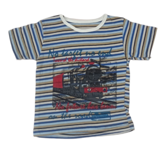 تیشرت پسرانه نخی چند طرح 