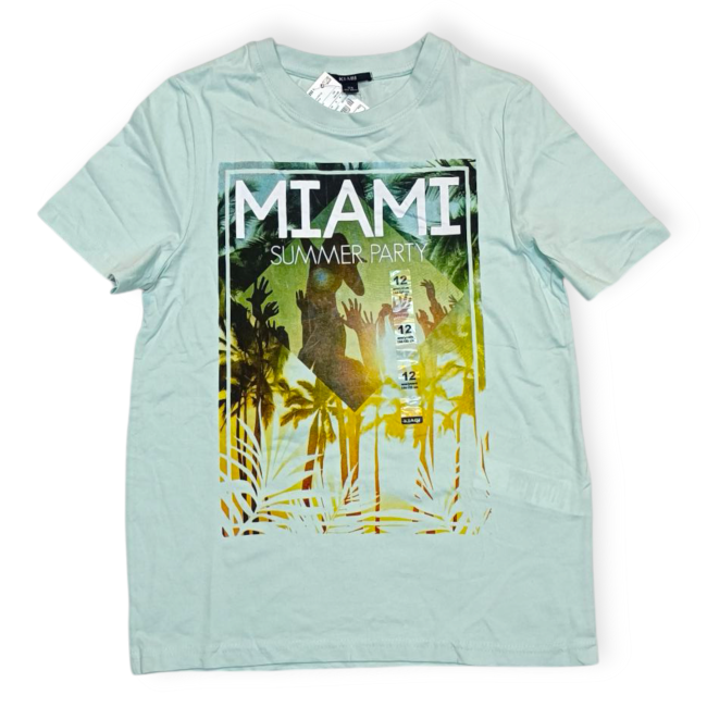 تیشرت پسرانه برند کیابی طرح نخل 